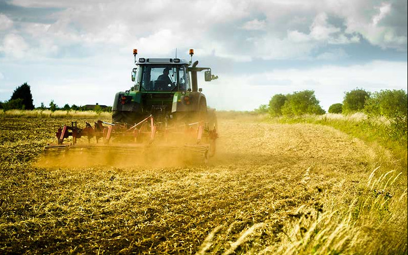 Lavoratore agricolo