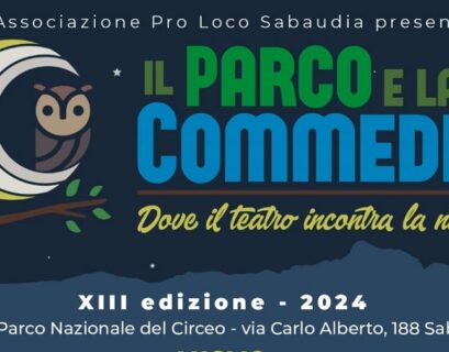 Il parco e la commedia